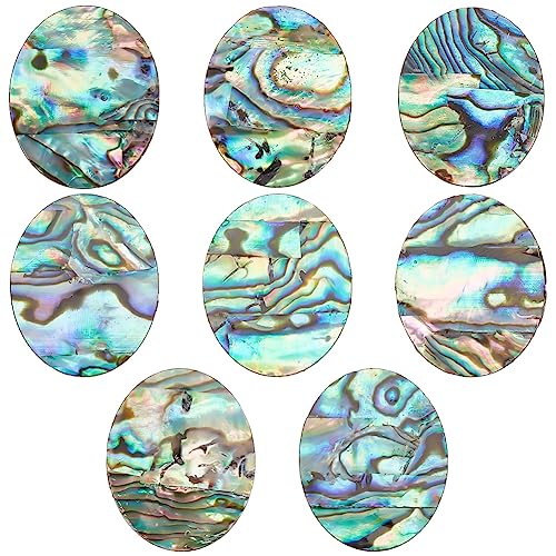 BENECREAT 8 pcs Abalone Shell Cabochon Naturel Paua Shell Cabochons Lâche Gemme Ovale Abalone Shell Charms Simple Face Shell pour la Décoration Intérieure, Fabrication de Bijoux Bricolage, 26x21x1mm