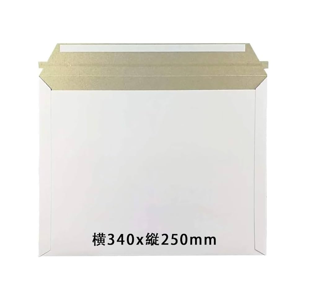 レターパックライト 430   20枚　A4サイズ 4kgまで Amazon | レターパックライト、(430円）20枚、最大3cm、最大