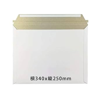 レターパックライト 430 20枚 A4サイズ 4kgまで レターパック