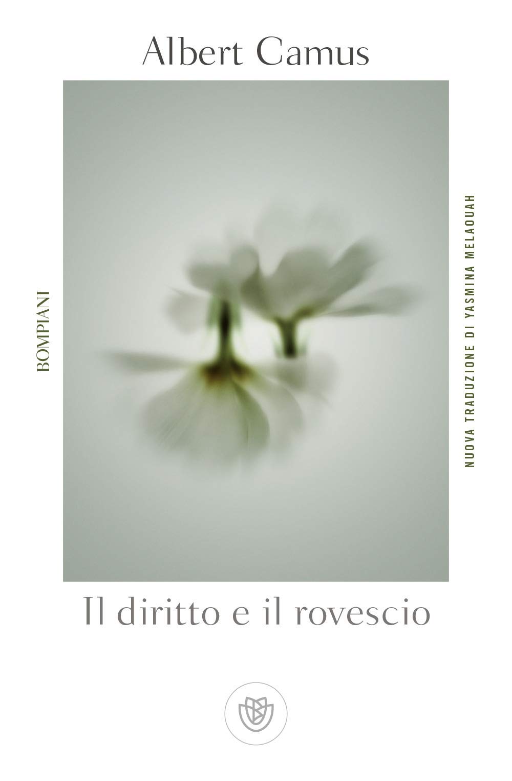 Il diritto e il rovescio (Tascabili Narrativa)