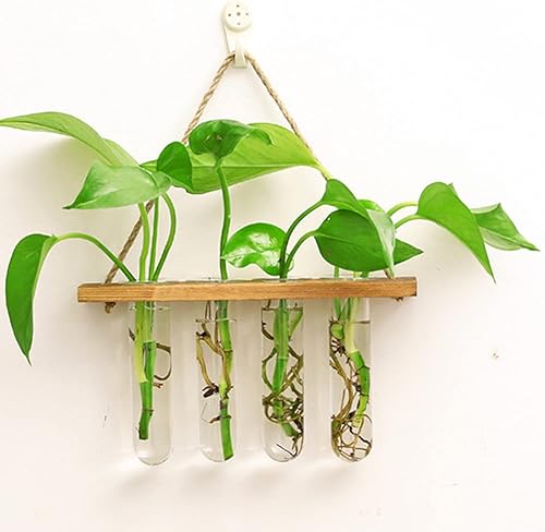 Miniatura 4 de Maceta colgante de pared terrario con soporte de madera, mini tubo de ensayo, floreros de flores retro colgantes de vidrio propagador para plantas
