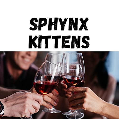 Top 10 Must-Have Products for Your Adorable Sphynx Kittens – A