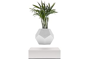 Flyte Levitating Plant Pot: A Surreal Haven for Your Greenery