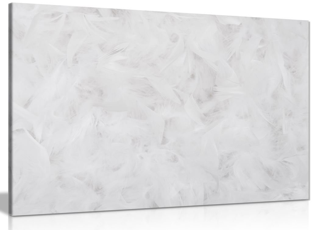 Panther Print White Wall Art Abstract Feather Print Canvas Wall Art Picture Print (30X20in)