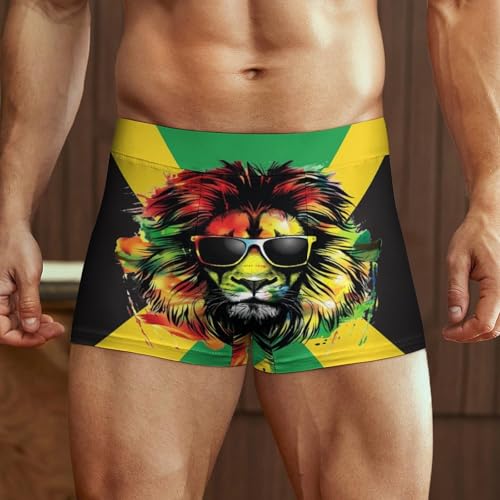 Jamaican Flag with Lion Men's Boxer Briefs Stretch Waistband Breathable Underwear2