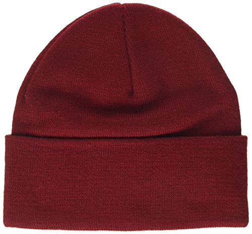 Levi's Red Batwing Embroidered Slouchy Beanie