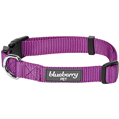 Blueberry Pet Essentials 22 Colors Classic Dog Collar, Violet, Small, Neck 12"-16", Collars