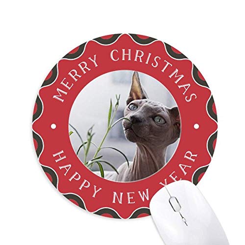 ̊DFׂ̍Lʐ^ ~`S̃NX}X}EXpbh