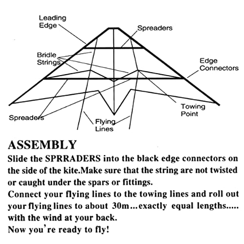 Babyeden Blue Sport Prism Delta Dual-Line Stunt Kite, 84-Inch #TOP4