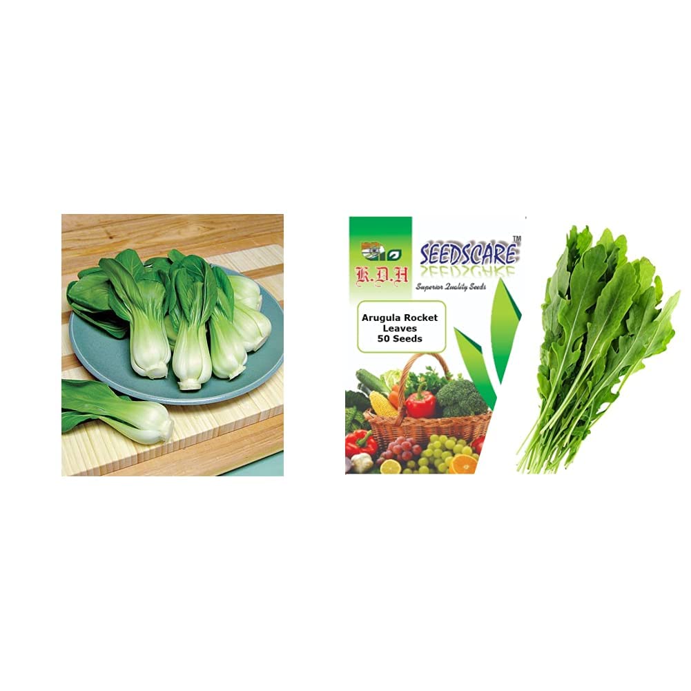 Seedscare SCI-A26 Pak Choy Seeds (100 Seeds) & Arugula Rocket Leaves Seeds(Pack of 50 Seeds) Combo (B087D6SRKH) Amazon Price History, Amazon Price Tracker