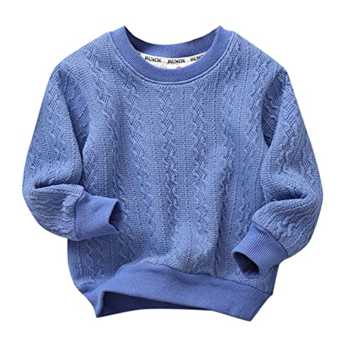 Toddler Children Kids Baby Boys Girls Solid Round Collar Knitted Thick Sweater Pullover Blouse Tops (Blue, 4-5 Years)