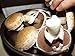 Crimini ~ Portabella ~ Baby Bella Mushroom Growing Kit - Easy to Grow Your own Fresh Mushrooms! Fun for The Whole Family!