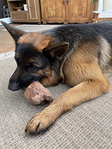 Kork-Deko Kauwurzel für Hunde | Kauspielzeug aus Wurzel der Baumheide | Nachhaltig, unbehandelt & unbedenklich | Natürlicher Kauknochen ohne Kalorien | Bruyère Holz aus Portugal