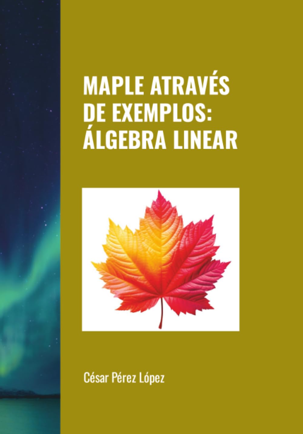 MAPLE ATRAVÉS DE EXEMPLOS: ÁLGEBRA LINEAR