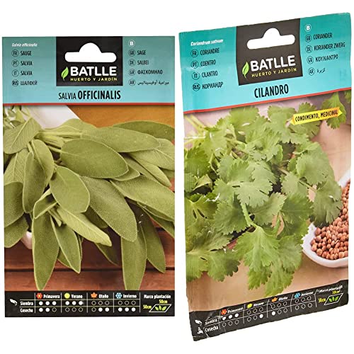 Salvia OFICINALIS & Batlle Semillas Aromáticas, Cilantro