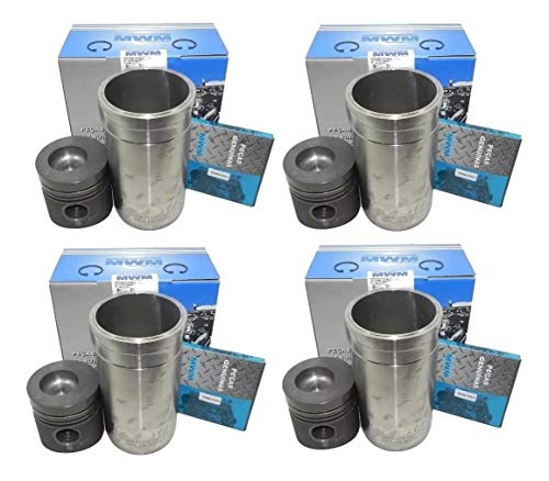 Kit Motor F1000 Mwm 229 + Junta + Bronzina + Brinde Original