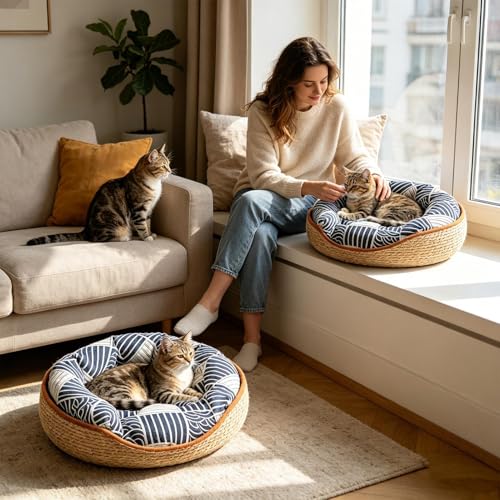 Cama Cesta Para Gatos y Mascotas en Sala de Estar e Interiores 3