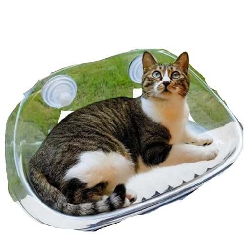 ZLBYXLULpnbN t I[vLbgxbh tȒP zՎ ݂艺 LpNC~Ot[ lGΉ  Lpxbh ybgpi (A)