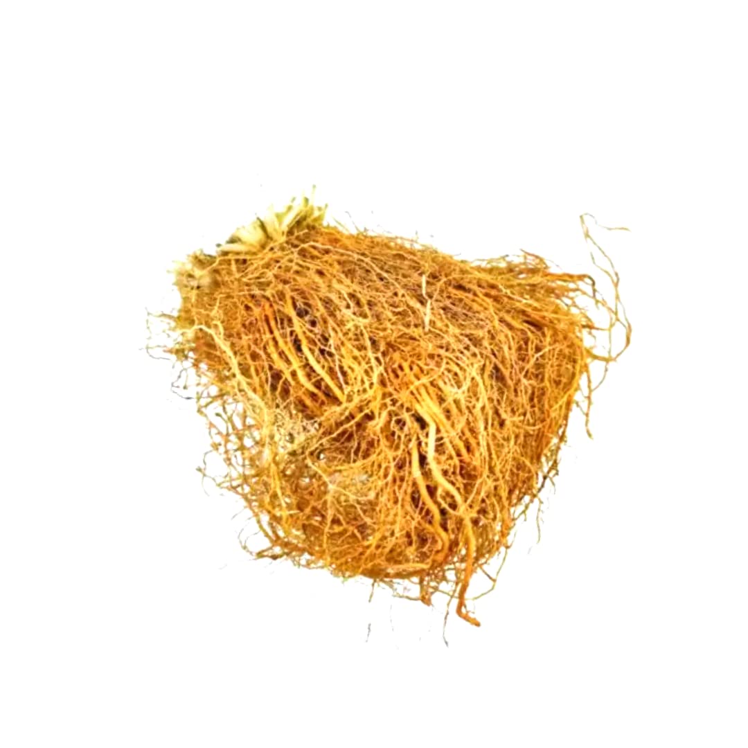 EpoojaCart - Vatti veru- Khas Khas Grass- Camel Grass - Vettiver Grass Roots (100 gms) (B098BF4Z3T) Amazon Price History, Amazon Price Tracker
