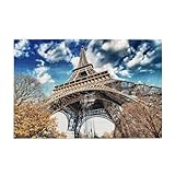 Taille : 1000 pièces dispersées, emballées dans une boîte en plastique, avec un dessin de référence (format A5)