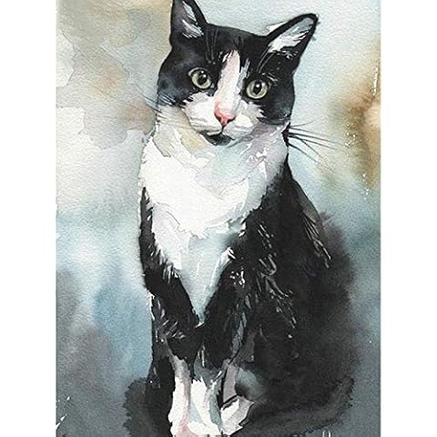 HJKGSX DIY 5D Diamond Painting Kit Animal black and white cat paint by number adults Full Drill Crystal Rhinestone Embroidery Pictures Art Craft for Home Decor 12x16 inch (Frameless) Cover