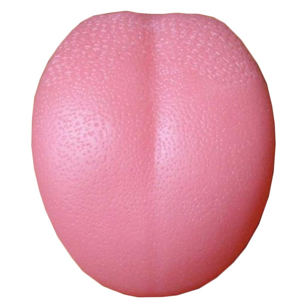 Modello Anatomico della Lingua Umana Lingua Pelliccia Lingua Capezzolo Medicina Digestiva Orale Insegnamento Aiuti Realistici, Modelli Medici E Materiali Educativi