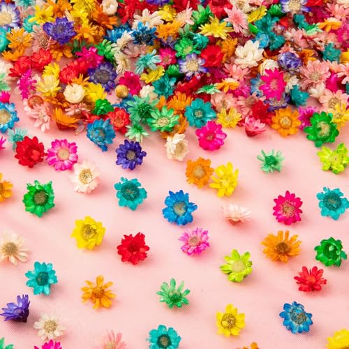 100 flores secas grandes para manualidades miniatura 1