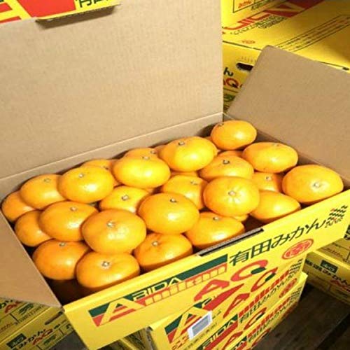 ya̎RYzGi@AQLc݂@S`2LTCY@p̃~J@5kg