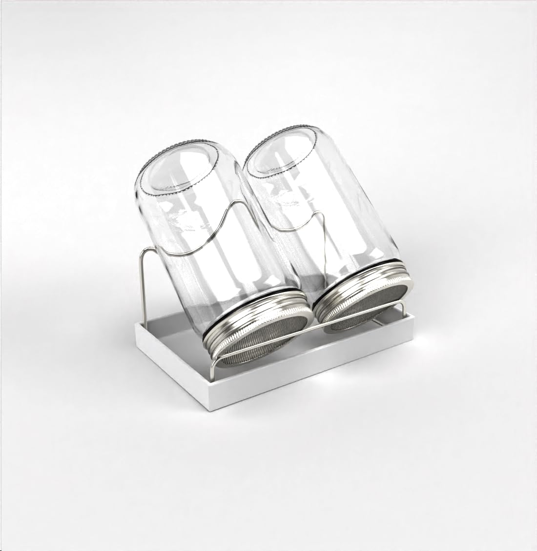 Ruston Goods LLC Sprouting Kit - Sprouts Growing Kit -Tray, Stainless Steel Sprouting Stand, 2 Covers, 2 Sprouting Lids - Instructions Included,Microgreens Growing Kit