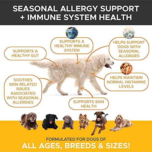 Are Dogs Allergic To Peanut Butter