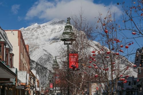 yJi_̕i|XgJ[hzot̊X݂Ɛቻς̎R \ Ԃʂ~iF |XgJ[h ͂ photo by MIRO