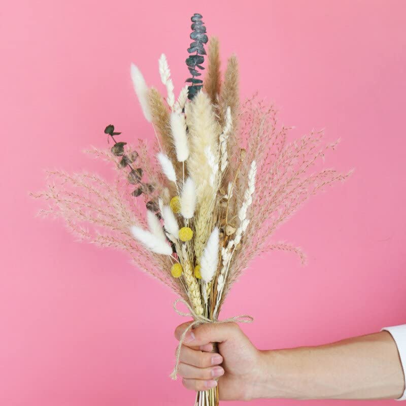 1 Ensemble Naturel Pampa Herbe décor Vraies Plantes décoration Fleurs séchées pour Mariage Artisanat Phragmites Queue Herbe