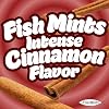 Scripture Candy, Sugar Free Fish Shaped Cinnamon Flavored Mints in a Pocket Sized Tin, 9 Count
