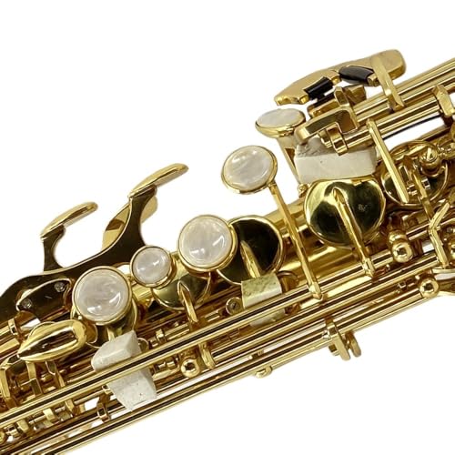 Image of Soprano Saxophone Straight Bb B Flat Brass Straight Soprano Saxophone with Case, Mouthpiece,Reeds & Accessories Brass Woodwind Instrument for Beginners,Adults & Advanced Players