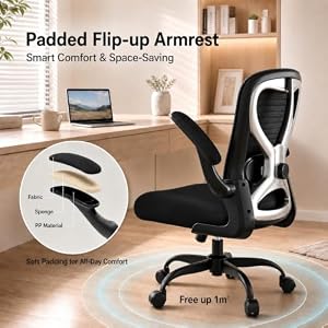 CASASIO Ergonomic Home Office Chair, 4-Way Lumbar, Thick Cushion, 330LBS — photo 6 of 6