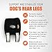 NeoAlly - 3-in-1 Short Rear Leg Hock Brace, Dog Leg Brace for Rear Leg with Rigid & Spring Inserts, Hock and Ankle Support, Dog Leg Sleeve with Reflective Straps, Large, 1 Pair