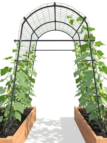BAXAM 7ft Garden Arch Trellis for Climbing Plants Outdoor-Heavy Duty Metal Cucumber Trellis for Raised Beds- Tall Steel Vegetable Arbor with Strong Bolt Assembly & Outdoor-Ready Stakes