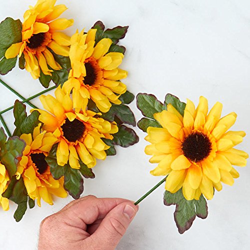 Darice Party Supplies, One Size, Multicolor, 3 Each