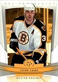 2006-07 Fleer Hot Prospects Hockey #9 Zdeno Chara