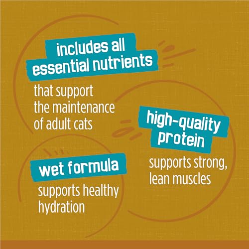 Friskies Tasty Treasures Wet Cat Food, Poultry & Fish Combo Variety Pack 3 Flavours - 156 g Can (24 Pack) image 5