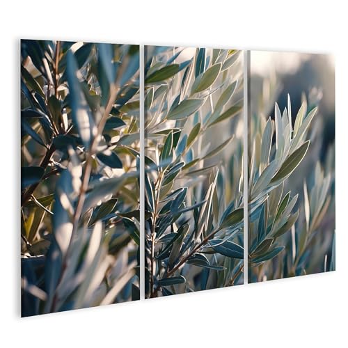 Tableau sur toile olivier 3 pièces pour raviver un mur blanc et terne