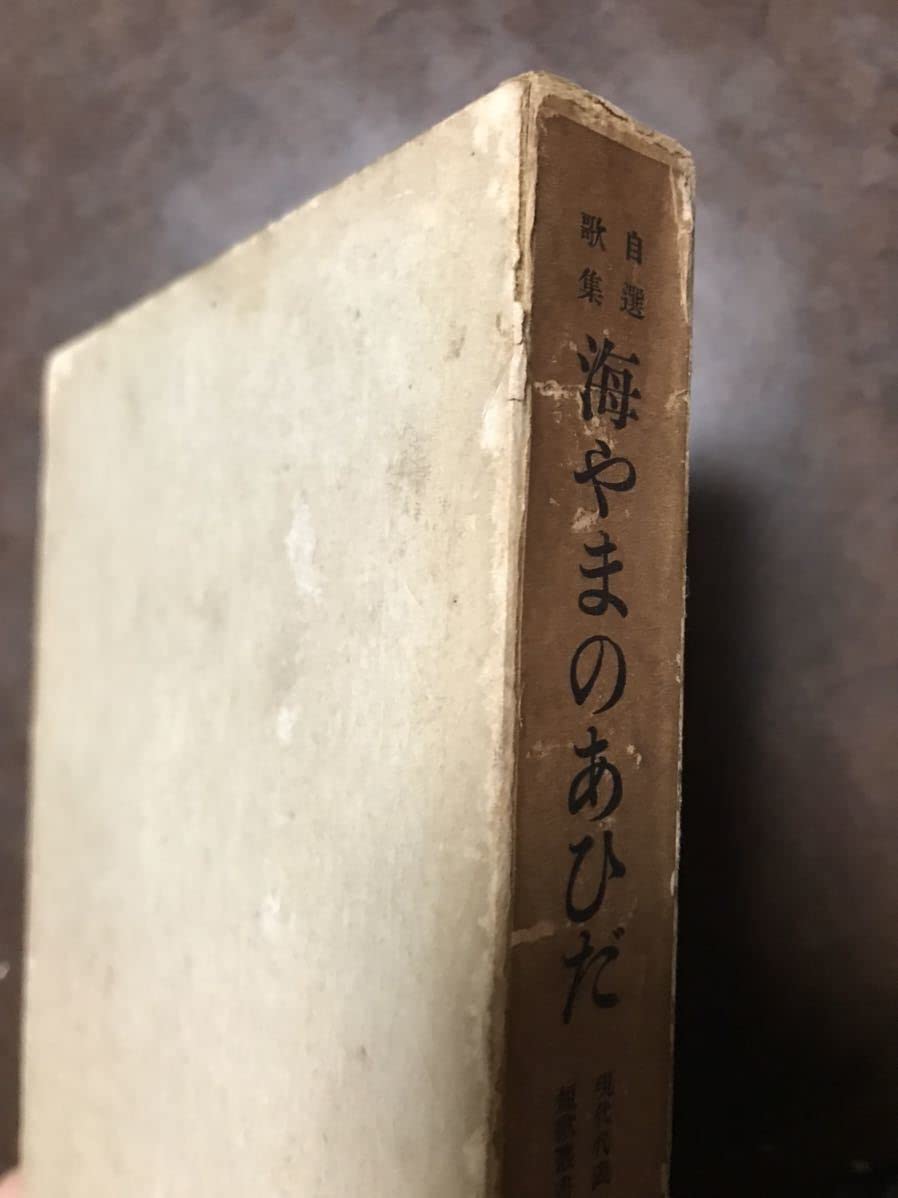 Amazon.co.jp: 自選歌集 海やまのあひだ 釈迢空 折口信夫 森田恒友装 