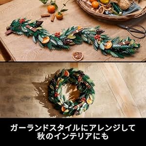 Amazon.co.jp - レゴ® アイコン クリスマスリース 10340