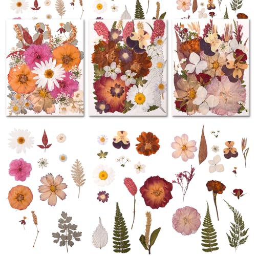 Image of 100 PCS Cream Color Pressed Dried Flowers & Leaves | Real Natural Dried Flowers, With Tweezers, For Resin, Candle, Jewelry, Scrapbooking & DIY Crafts