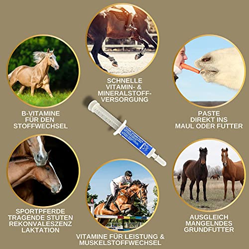 EMMA Mineralfutter Pferd 5kg + 2×30ml Vitaminpaste | Biotin Zink Selen Magnesium | Fellwechsel & Hufpflege | Mineralien Pellets hochdosiert | Pferdefutter für Huf Fell Muskel Immunsystem