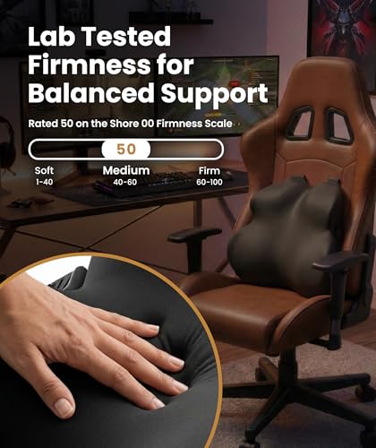 Image of Everlasting Comfort Lumbar Support Pillow for Office Chair - Improves Posture, Promotes Back Pain Relief - Superior Back Support for Gaming and Desk Chairs - Lumbar Pillow for Car, Couch