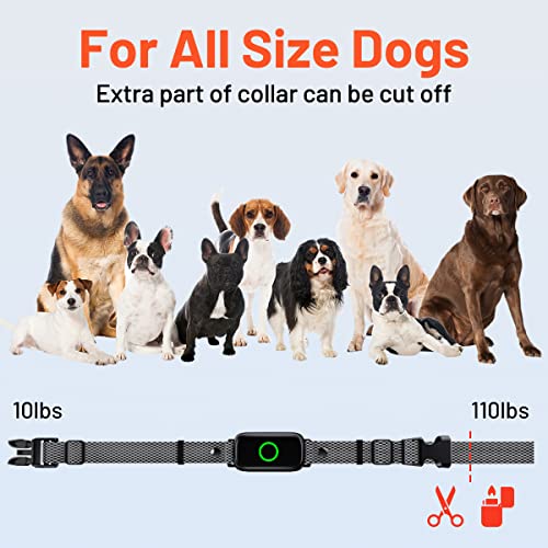 Letswill Dog Shock Collar 3300Ft Range Dog Training Collar With Remote Waterproof Dog Collar Rechargeable Electric Shock Collar For Small Medium Large Dogs With Beep Vibration Shock And Light E-Collar #TOP5