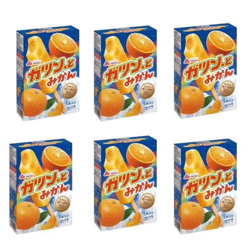 【6箱】ガツン、とみかん 58ml×30本セット アイス 冷凍 氷菓 まとめ買い 蜜柑 フルーツ おやつ デザート 果物