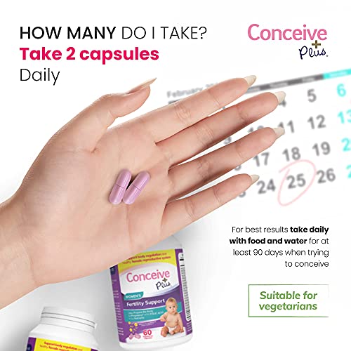 Conceive Plus Women's 3 Month Supply | Prenatal Vitamins + Fertility-Friendly Lube Conception Fertility Support Supplement (3 X 60 Capsules + 2.5 Ounce Fertility Lubricant) #TOP5