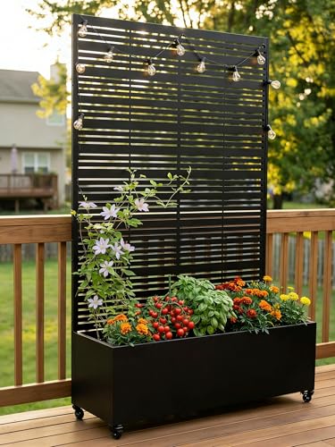 TinFrey Carré Potager avec Brise-Vue, Jardinière en Métal avec Treillis et roulettes, Bac à...